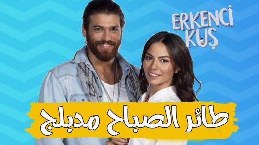 مسلسل طائر الصباح الحلقة 134 مدبلجة للعربية